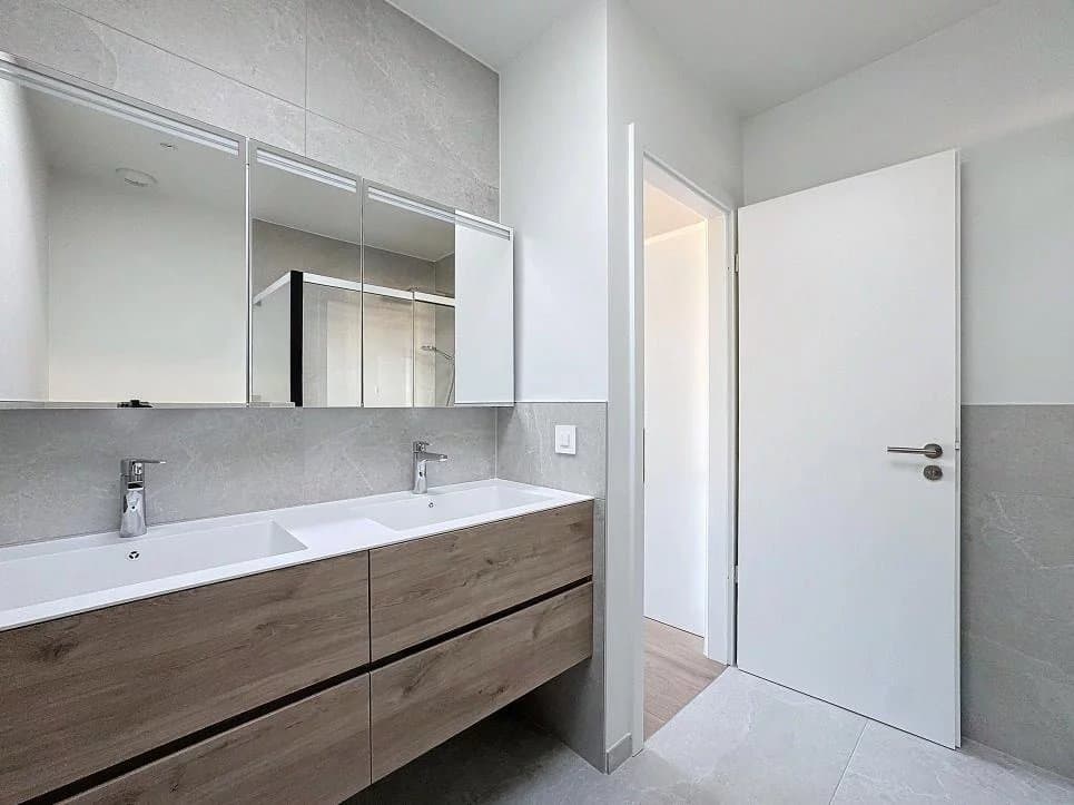 Standing et luxe au coeur de Vesenaz — 6