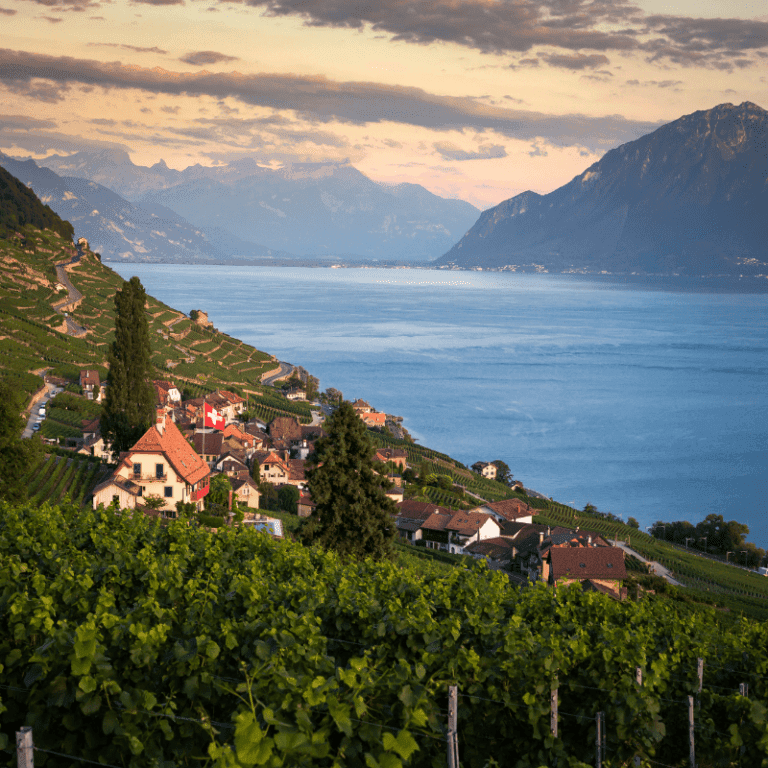 COURTIER IMMOBILIER VAUD : NOS CONSEILS POUR CHOISIR LE BON PRESTATAIRE